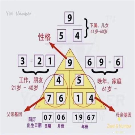 生命密碼數字解說 東大傷風感冒靈